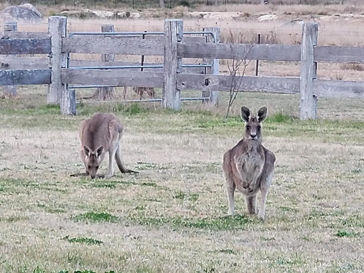 Spencer Lane Cottage & Granny Flat Stanthorpe