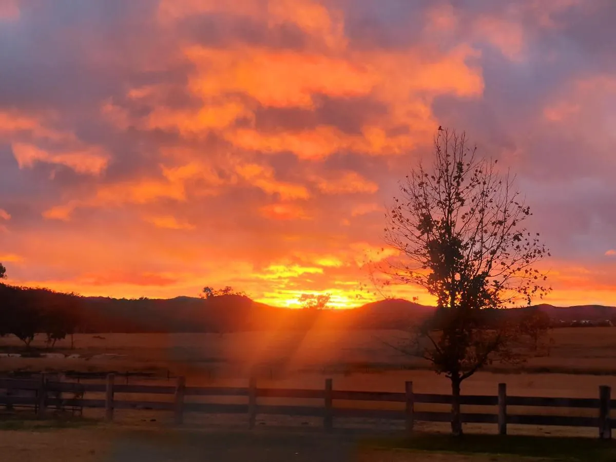 Spencer Lane Cottage & Granny Flat Stanthorpe Holiday home